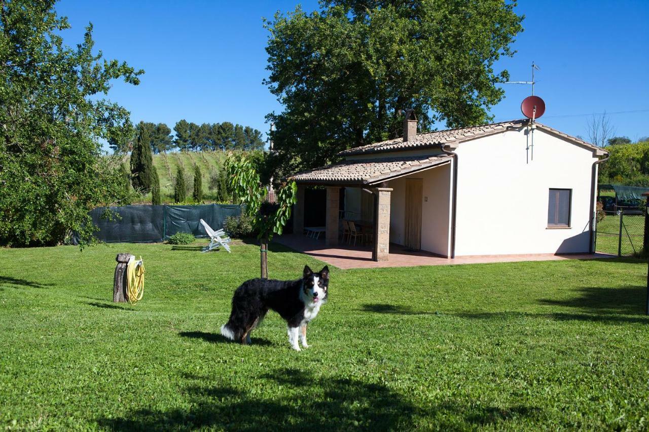 Villa Casa Marta à Pitigliano Chambre photo